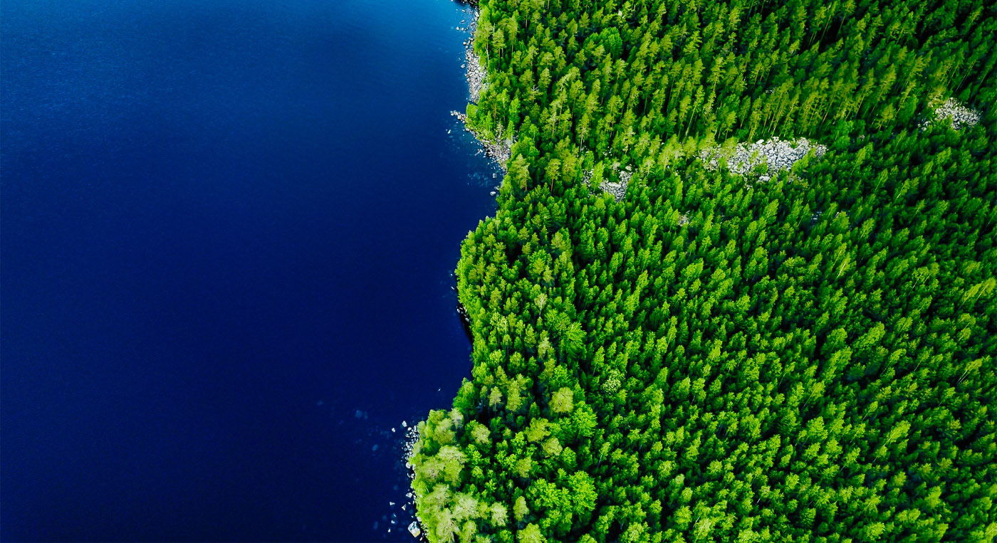 aerial view of a lake and forest